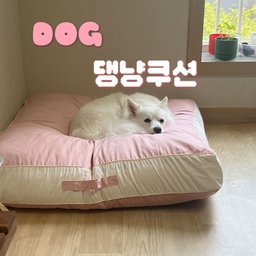 #오감리뷰 프로그램을 통해 제품을 제공받아 직접 사용하고 스타일링한 후기입니다.

