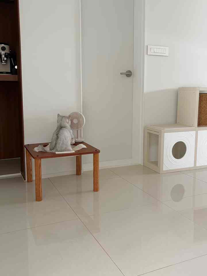 階段型 キャットタワー 2x2［7色］を使ったコーディネート 2