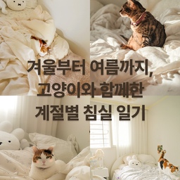 #반년인테리어기록 #콘수프기록
“겨울부터 여름까지, 고양이와 함께한 계절별 침실 일기”
고양이와 함께 살다 보면 계절이 바뀌는 게 더 분명하게 느껴져요.
침대 위에서, 햇살 속에서, 이불 아래에서 사계절을 같이 보내는 고양이들.
계절이 바뀔 때마다 자연스럽게 바뀐 우리 집 침실, 기록해봤어요.
#고양이와일상 #집사일기 #집사일상 #고양이있는집 
 #침실인테리어 #계절별인테리어 #사계절인테리어 #고양이방 #침구인테리어 #맞팔 #맞팔환영 #답방 #엘레나하임 #공주풍 #로맨틱인테리어
 #집꾸미기 #방꾸미기 #화이트인테리어 #내추럴인테리어 #미니멀인테리어 #셀프인테리어 #랜선집들이 #계절침구 #이불갈이 #냉감 #냉감이불 #차렵이불 #듀라론
