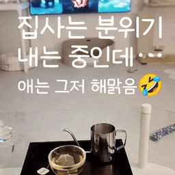 #오늘의우리집 1편 #콘수프기록 
모닥불 소리 들으며, 분위기 잡는 그 순간! 차 한 잔을 준비했는데, 
내 아이의 해맑음 덕분에 웃음이 나왔어요.
#오늘의우리집 #집사일기 #고양이일상 #고양이집사 #홈스타일링 #잔잔한일상  #우리집기록 #감성살림 #혼자사는법 #홈카페 #모루잔 #유리잔 #차한잔 #차한잔의여유 #집사일상 #맞팔 #맞팔환영 #고양이 