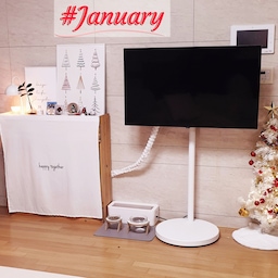 #반년인테리어기록 #콘수프기록 
♥ 1월- 아직 크리스마스 트리를 치우지 않아서 12월 크리스마스 느낌이 그대로 있는 집이에요~ 전 트리와 크리스마스 소품을 넘 좋아해서 오래 두었어요 ㅎㅎ
#화이트인테리어 #거실인테리어 #크리스마스트리 #크리스마스소품 #포스터 #포스터인테리어 #크리스마스포스터 #아트밀 #케이블커버 #맞팔 #맞팔해요 #맞팔환영 #크리스마스포스터  #30평대인테리어 #30평대아파트인테리어 #30평대아파트 