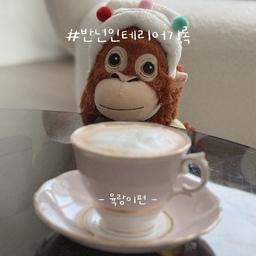 #반년인테리어기록 #육랑이편
육랑홈 반년 기록, 육랑이가 소개해볼께요🐵🤎
☠️말투 킹받음 주의☠️
