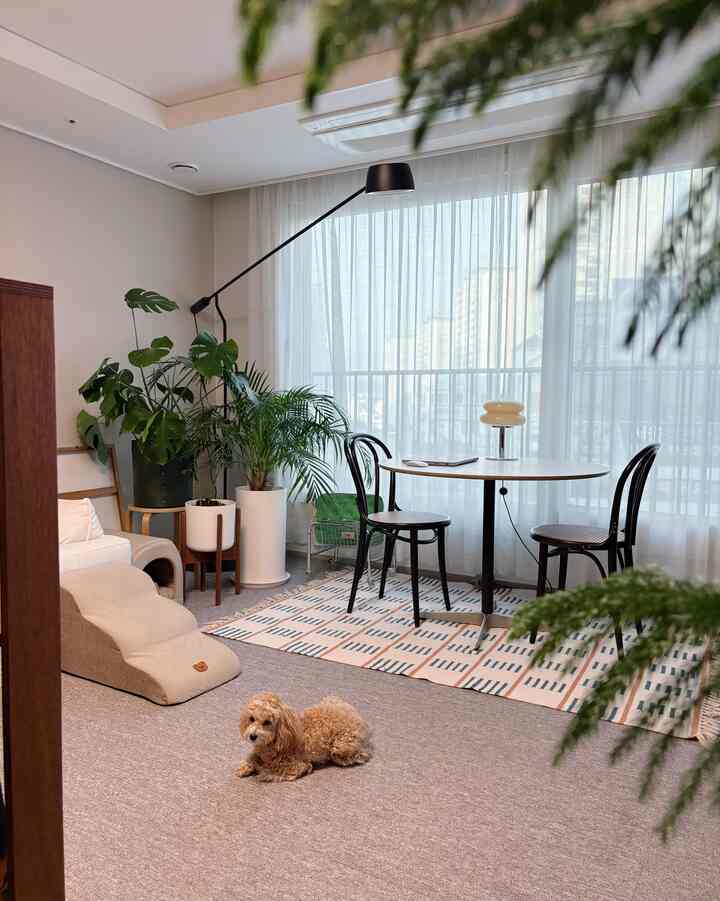 ベージュのカーペットと黒い椅子があるダイニングルーム、緑豊かな植物と犬が配置された自然で落ち着いた雰囲気のインテリア