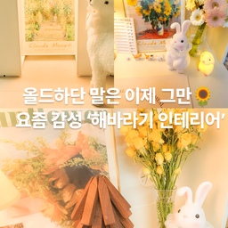 #예쁜템최고야 4편 #콘수프기록 
해바라기=촌스럽다?
요즘은 다릅니다. 감성 한 스푼, 풍수 한 스푼.
집에 들어오자마자 기분 좋아지는 ‘해바라기 인테리어’ 보여드릴게요🌻
#인테리어 #감성인테리어 #셀프인테리어 #홈카페 #소품인테리어 #명화포스터 #모네포스터 #모네해바라기 #해바라기포스터 #해바라기액자 #아트포스터 #갤러리인테리어 #벽꾸미기 #접착식포스터 #인테리어액자 #아트프레임 #토끼무드등 #감성무드등 #아이방조명 #포인트조명 #소형조명 #무드등추천 #입주선물추천 #집들이선물추천 #감성소품 #감성소품샵 #카페감성소품 #분위기전환템