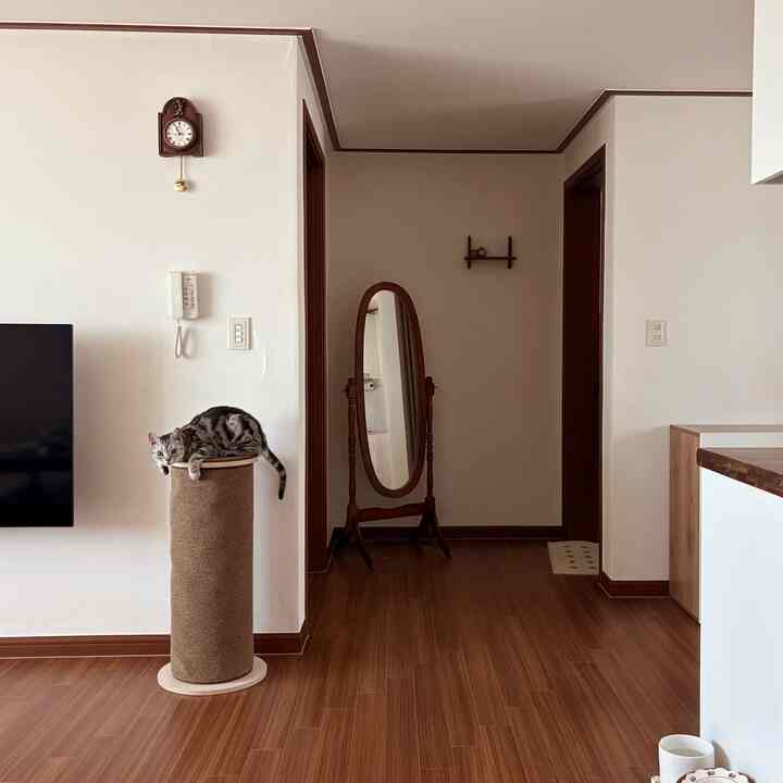 ナチュラルな色調のリビング、木製の床に全身鏡が置かれ、爪とぎの上でくつろぐ猫がいる雰囲気のあるインテリア