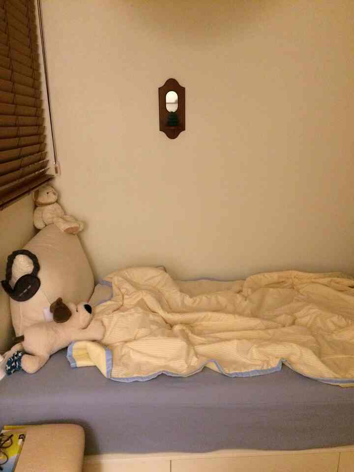 Beige-toned bedroom featuring a compact sofa bed and wood blinds creating a cozy single household space