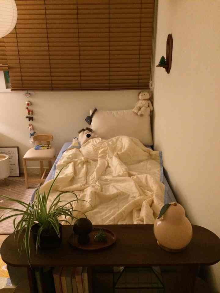 Yellow and sky-blue toned compact bedroom featuring bed, wooden blinds, and plants creating a cozy atmosphere