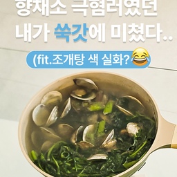 #오홈스토랑 4편 #콘수프기록
예전에는 미나리랑 쑥갓 같은 향채소 절대 못먹었는데, 
어느날 삼겹살에 미나리 너무 맛나는 거예요 ㅋㅋㅋ
그래서 가볍게 실험을 했죠. 쑥갓도 먹을수 있나? 
향채소 절대 못 먹던 나, 쑥갓 조개탕에 무릎 꿇었네요 ㅋㅋ 
조개탕 → 국물맛 미쳤다 → 칼국수까지 완성해버림🥹
#조개탕 #조개탕레시피 #쑥갓요리 #쑥갓조개탕 #칼국수 #생칼국수 #칼국수레시피 #조개탕끓이는법 #집밥요리 #간단요리 #여름국물요리 #해장국추천 #국물요리레시피 #향채소요리 #향채소극복 #냄비추천 #크림색냄비 #세라믹냄비 #양수냄비 #국자추천 #투명그릇 #유리볼 #물컵추천 #양식기세트 #젓가락추천 #국자세트 #테이블웨어 
