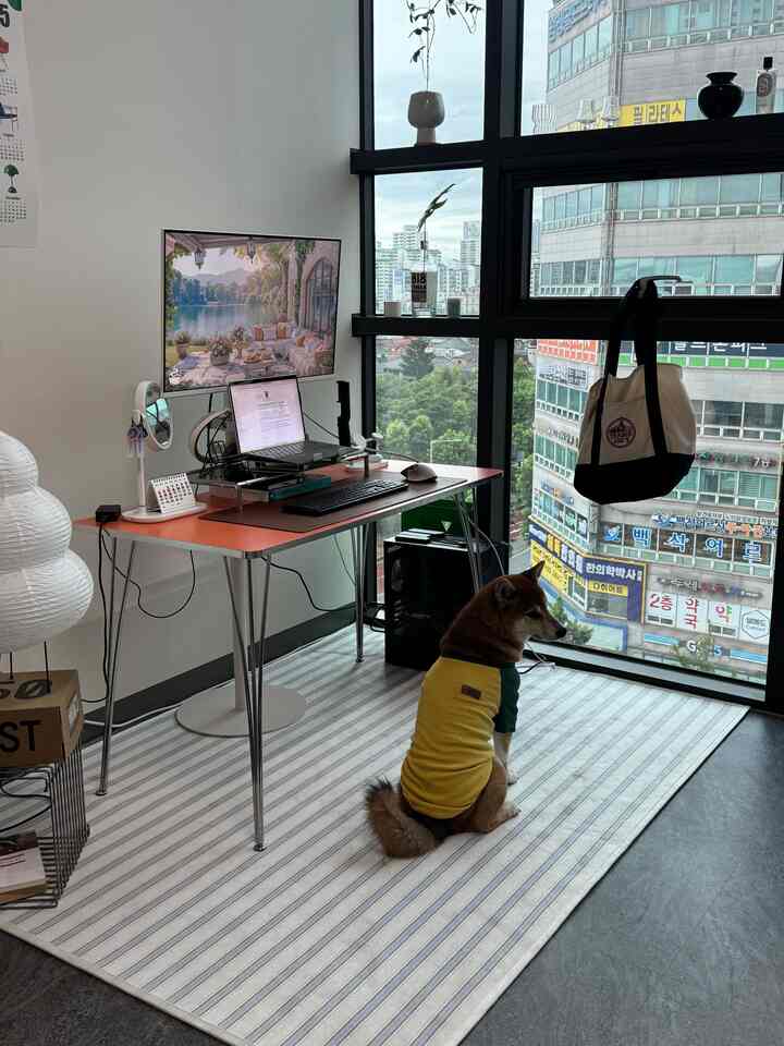 白とグレーのトーンのホームオフィス、オレンジのデスクと黄色い服を着た犬がいる清潔感のある作業空間のインテリア