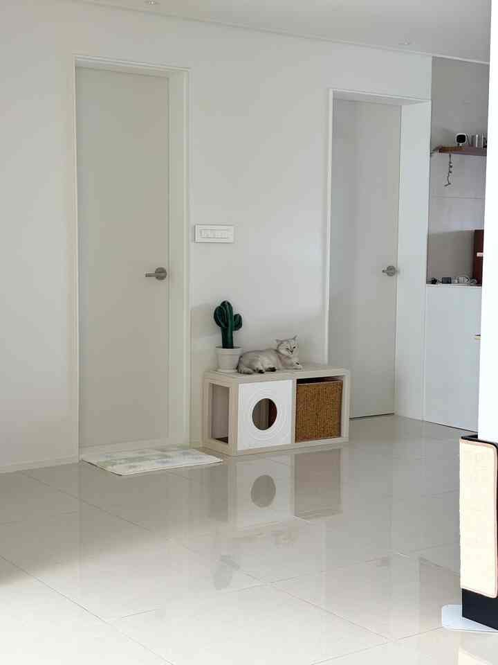 猫用ハウス 2x1［7色］を使ったコーディネート 2