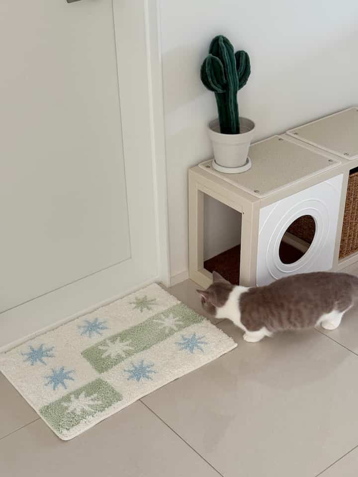 White-toned restroom area featuring a cat tunnel and a mint-patterned bath mat in a cozy pet-friendly interior