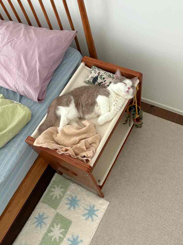 Natural toned bedroom featuring a wood bed and a cat hammock with a sleeping cat, creating a calm atmosphere