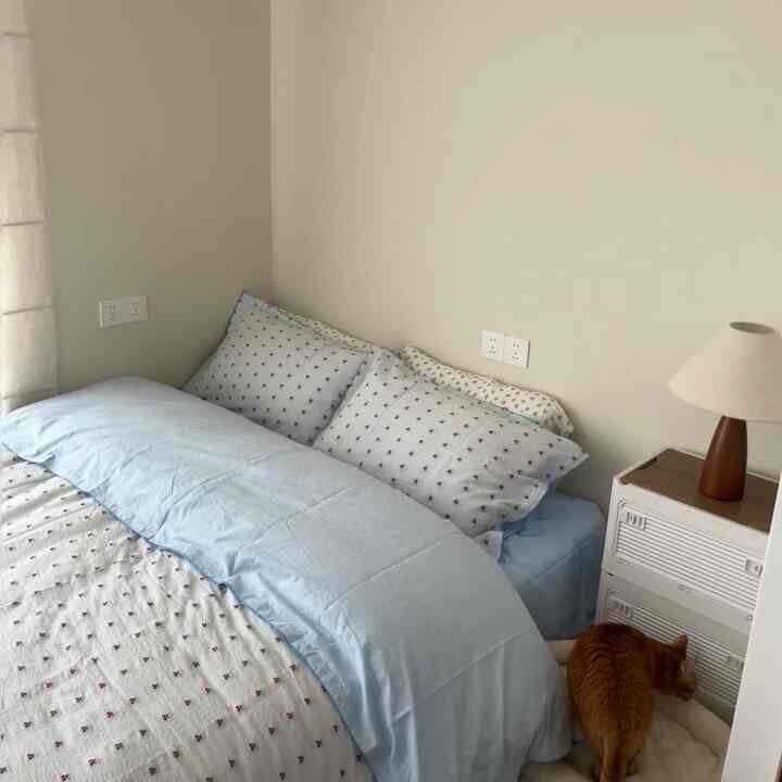 ベージュ色の壁と青い寝具がある寝室、ナイトスタンドのそばに猫が座っているシンプルでナチュラルな雰囲気のインテリア