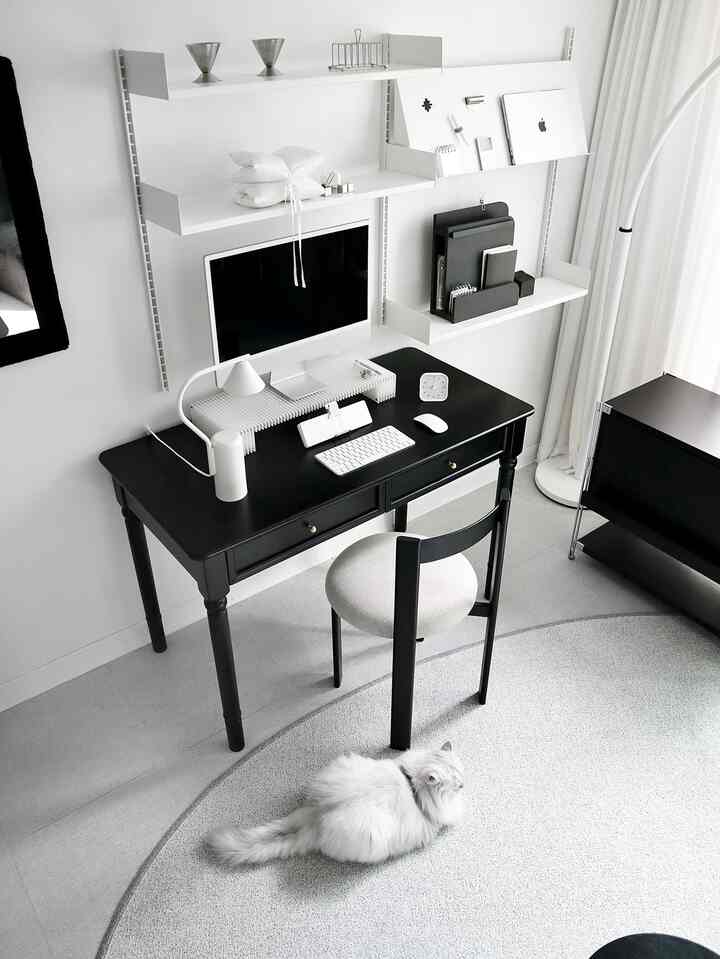 Monotone study space in white and black tones featuring a black desk, white chair, and a fluffy cat on a grey round rug, minimalistic desk setup