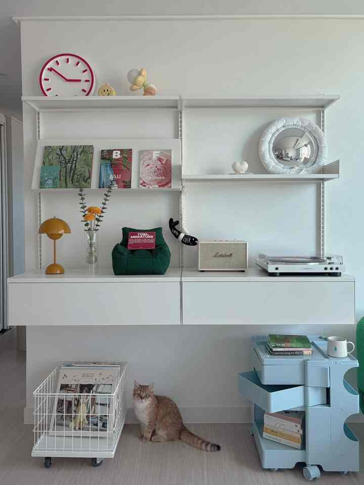 White-toned compact space featuring wall shelves with books and decor, a cat seated on the floor, creating a modern and clean interior.