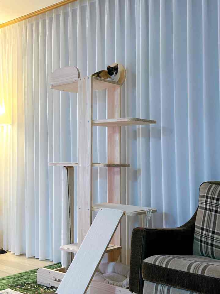 明るい木目調とアイボリーのカーテンを背景にしたリビング、木製キャットタワーの上で猫がくつろぐ雰囲気のあるインテリア