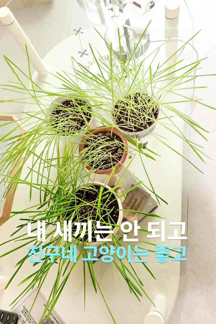 #오늘의우리집 2編  #수납템 #정리수납 #생활꿀템 #홈데코 #인테리어소품 #리빙아이템 #편의용품 #주방아이템 #거실소품 #주방수납  #리빙인테리어 #수납정리 #홈리빙 #리빙아이템추천 #생활필수템 #홈오브제 #인테리어아이템 #생활아이템 #리빙추천