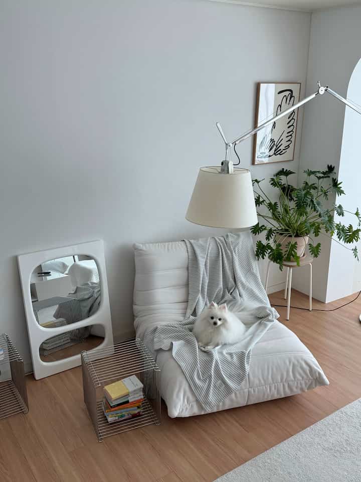 ホワイトとウッドトーンのリビング、ソファに犬が座っているナチュラルでシンプルな印象的な空間