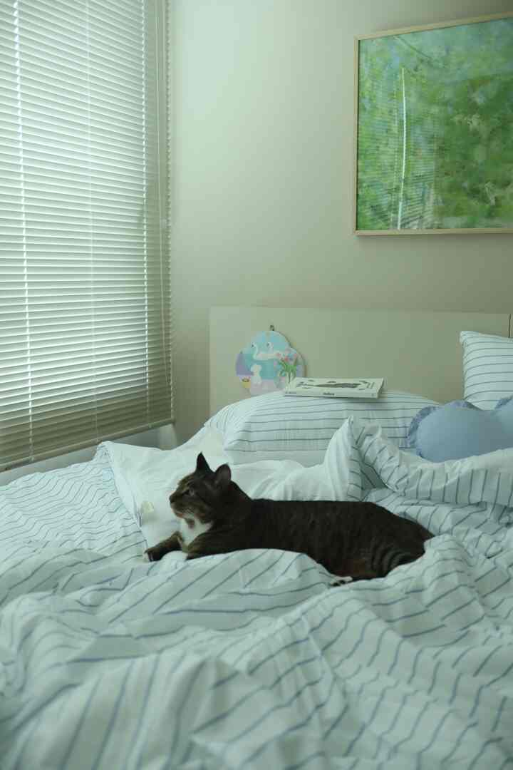 Sudah lama sejak terakhir kali saya merapikan tempat tidur.
Saya tidak bisa melakukannya setiap hari, jadi saya membersihkan debu dan menggulungnya seminggu sekali.
Saya rasa saya akan mencoba menyesuaikan pengaturannya sesekali.

#TersibukDiRumah #콘스프기록 #침대 #고양이

#PerawatanAlergiPerlengkapanTempatTidur #차렵이불 #가을