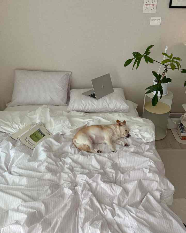 白とベージュのトーンの寝室、白い寝具の上で寝ている犬とノートパソコン、植物が配置された落ち着いた空間