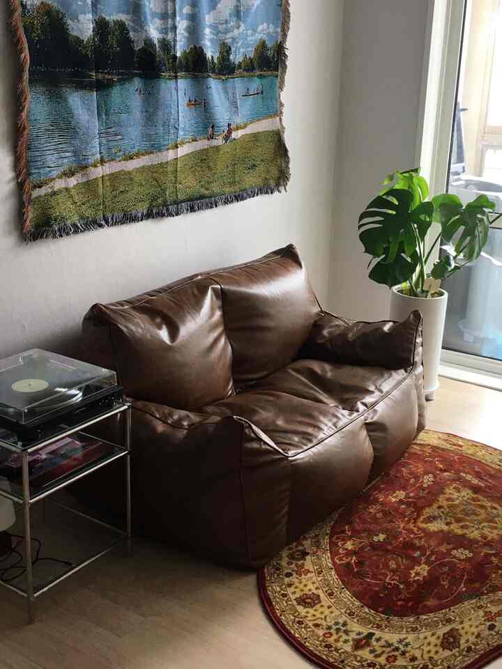 ナチュラルな木目調の床とブラウンのビーズクッションソファがあるコンパクトなワンルームのリビング、壁には湖のタペストリーが掛かり、窓際には大きな観葉植物が置かれた空間