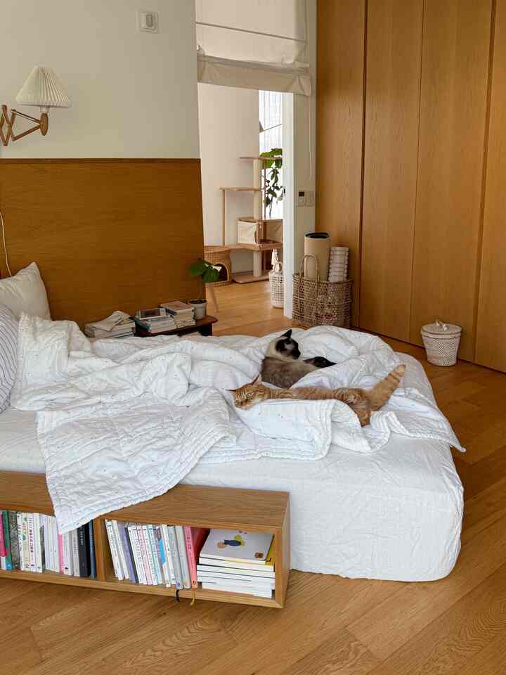 ナチュラルなウッドトーンと白を基調とした寝室、ベッドの上で2匹の猫がくつろいでいる様子