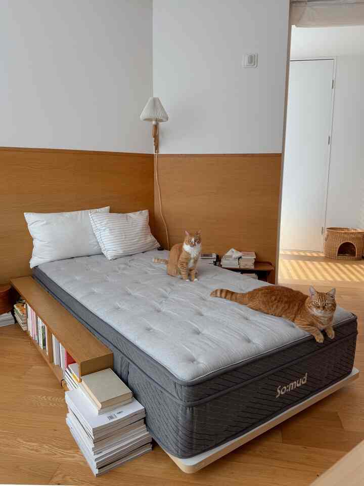 ナチュラルな木目調の壁と床がある寝室、グレーのマットレスと2匹の猫がいるシンプルモダンなインテリア