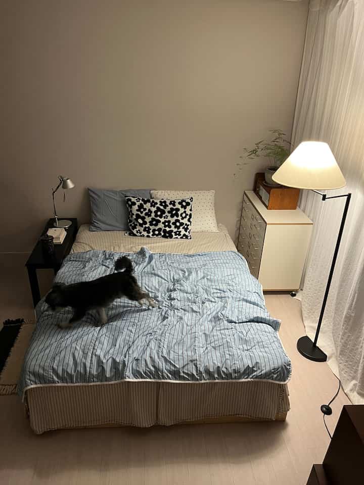 ブルーストライプの寝具とベージュの壁がある寝室、ベッドの上には小型犬とフロアランプがあり、温かみのある雰囲気を演出している