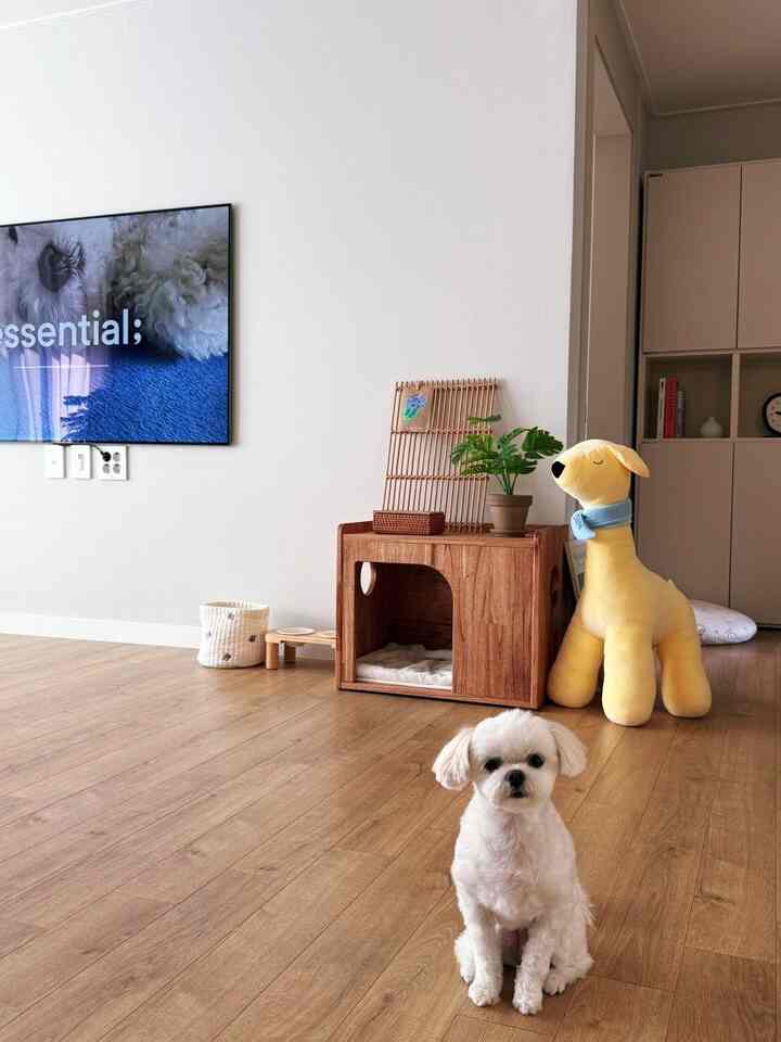 木目調のモダンなリビング、かわいい犬とペットハウスが配置された雰囲気のある空間