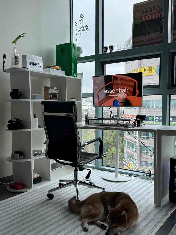 Modern home office space in dominant white tone featuring black office chair, desk with monitor, floor rug, and a dog resting comfortably