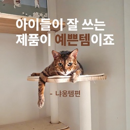 #예쁜템최고야 #콘수프기록집 #시크릿챌린지
아이들이 잘 쓰는 제품이야말로 진짜 예쁜템!
이번엔 우리집 냐옹템만 모아봤어요.
#숨숨집 #고양이숨숨집 #고양이창가 #창밖구경 #두잇스크래쳐 #스크래쳐추천 #고양이스크래쳐 #캣타워 #원목캣타워 #튼튼한캣타워 #고양이캣타워 #스크래쳐하우스 #고양이하우스 #고양이집 #자동급수기 #고양이급수기 #고양이장난감 #마따따비 #마따따비막대 #고양이장난감추천 #소프트캐리어 #고양이캐리어 #고양이이동장 #집사필수템 #냥템 #맞팔 #맞팔환영
