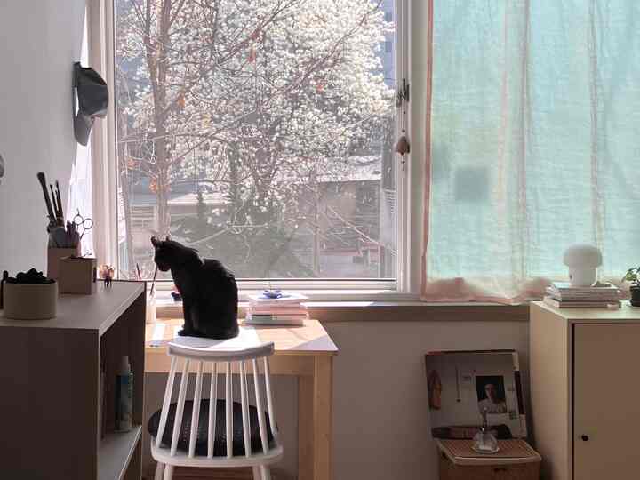 白い壁と明るい木目調家具が配置された窓際のデスク、黒い猫が座る雰囲気のある書斎空間