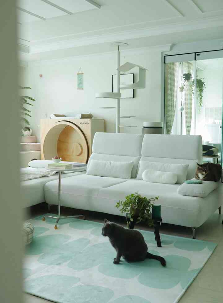 Soft white and mint toned living room featuring a large sofa, patterned rug, cat pole, and pet accessories in a natural atmosphere