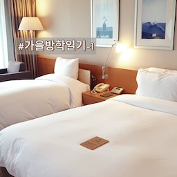 #가을방학일기 #콘수프기록집   1
♥1박 2일로 짧게 호캉스 다녀왔어요~♥
롤링힐스는 아이들과 함께 하기 부담없고 좋은 호텔이라
동생이랑 자주 가는 편이에요~
저녁 뷔페도 맛있게 먹었고
회랑 초밥이 정말 맛있어요~:)
연못에 예쁜 비단잉어가 있어서 먹이도 주고
수영장은 밤 10시까지 이용할 수 있어서
저녁먹고 아이들이랑 정말 재밌게 잘 놀았어요~
수영장물이 따뜻해서 아이들이랑 놀기 정말 좋아요 ㅎㅎ
연휴가 길어서 맘 편하게 잘 다녀왔네요 
#추석 #추석연휴 #호캉스 #수영장 #가족과함께 #가족 #연휴에뭐하집 #추석맞이 #추석명절 #연휴일상 #연휴 #호텔 #호텔침실 #가족나들이 #가을 #가을맞이 #가을소풍 #
