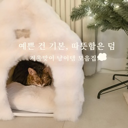 #콘수프기록집 #예쁜템최고야 #시크릿챌린지 
쌀쌀한 계절, 따뜻함은 결국 디테일에서 시작하잖아요.
이번엔 냥이들도 함께 누릴 수 있는 포근한 보온템으로 집 안을 채워봤어요☁️
#러그 #거실러그 #겨울러그 #보온러그 #고양이러그 #펫러그 #쇼파패드 #베베데코 #펫하우스 #고양이하우스 #겨울하우스 #퍼하우스 #인조퍼 #고양이쿠션 #미피쿠션 #미피인형 #유리테이블 #거실인테리어 #미니트리 #크리스마스트리 #겨울소품 #겨울인테리어 #고양이용품 #냥이템 #쇼파 #쇼파추천 #쇼파테이블 