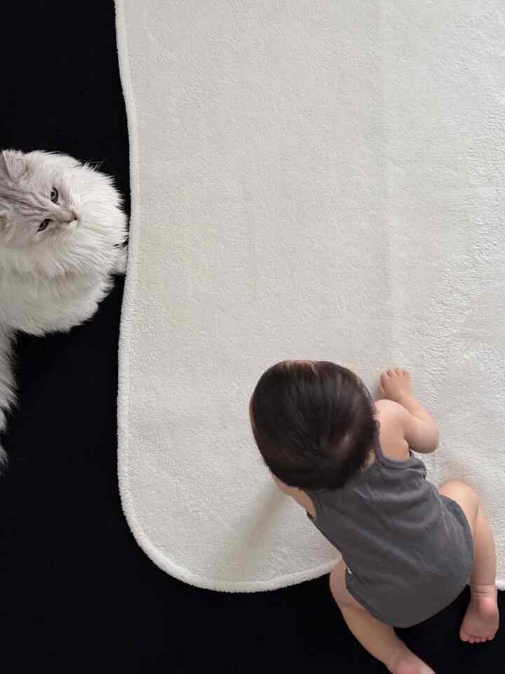白と黒のラグの上に赤ちゃんと猫がいる、温かみのあるインテリア