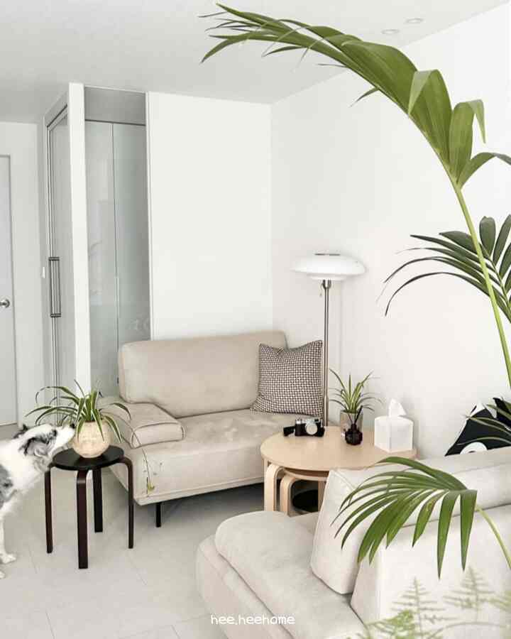 白とベージュの色調のリビング、ベージュのソファと丸いコーヒーテーブル、植物が配置された自然でモダンなインテリア