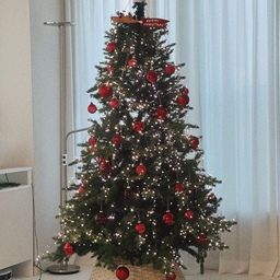 #예쁜템최고야 #콘수프기록집 트리 아래 가림막 새로 장만했어요! 🎄
기존에 있던 러그도 예뻤지만, 최근에 본 라탄 바스켓이 너무 예뻐서 한 번 시도해봤는데, 정말 마음에 들어요.
트리 위는 초록색, 아래는 베이지색으로 꾸미니까, 마치 진짜 나무처럼 자연스럽고 따뜻한 느낌이 들어요 🌿✨
이렇게 작은 디테일이 공간에 생기를 더해주는 것 같아요.
트리와 함께 꾸미는 재미가 더 커졌어요!
#맞팔 #거실 #거실인테리어 #거실꾸미기 #육아일상 #아이사는집 #아기가있는집 #망고졔욱 #오너먼트 #아티파티 #미리크리스마스 #크리스마스트리 #크리스마스소품 #크리스마스데코 #크리스마스꾸미기 #트리 #트리꾸미기 #트리장식 #트리조명 #트리오너먼트 #트리전구 #트리추천 #오너먼트추천 #메리크리스마스 #콘수프기록집 #오늘의우리집 #라탄바스켓 #윈터스케치