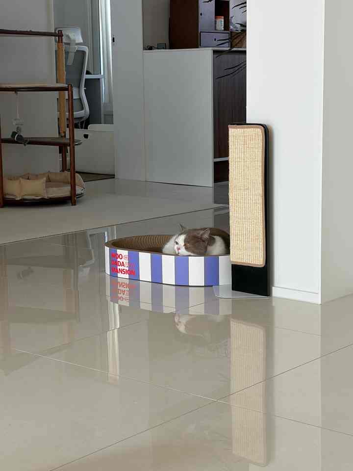 白と黒のナチュラルトーンのリビング、居心地の良いキャットハウスでくつろぐ猫がいるミニマリストなインテリア