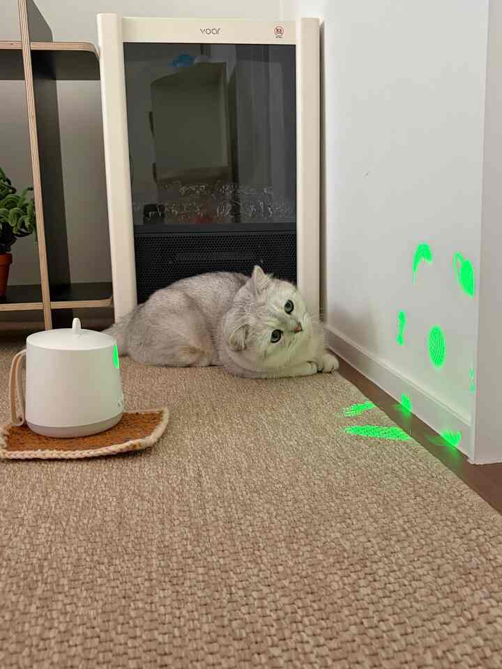 ベージュのナチュラルラグの上にグレーの猫が横たわり、背景に黒いヒーターがあるすっきりとしたリビング空間