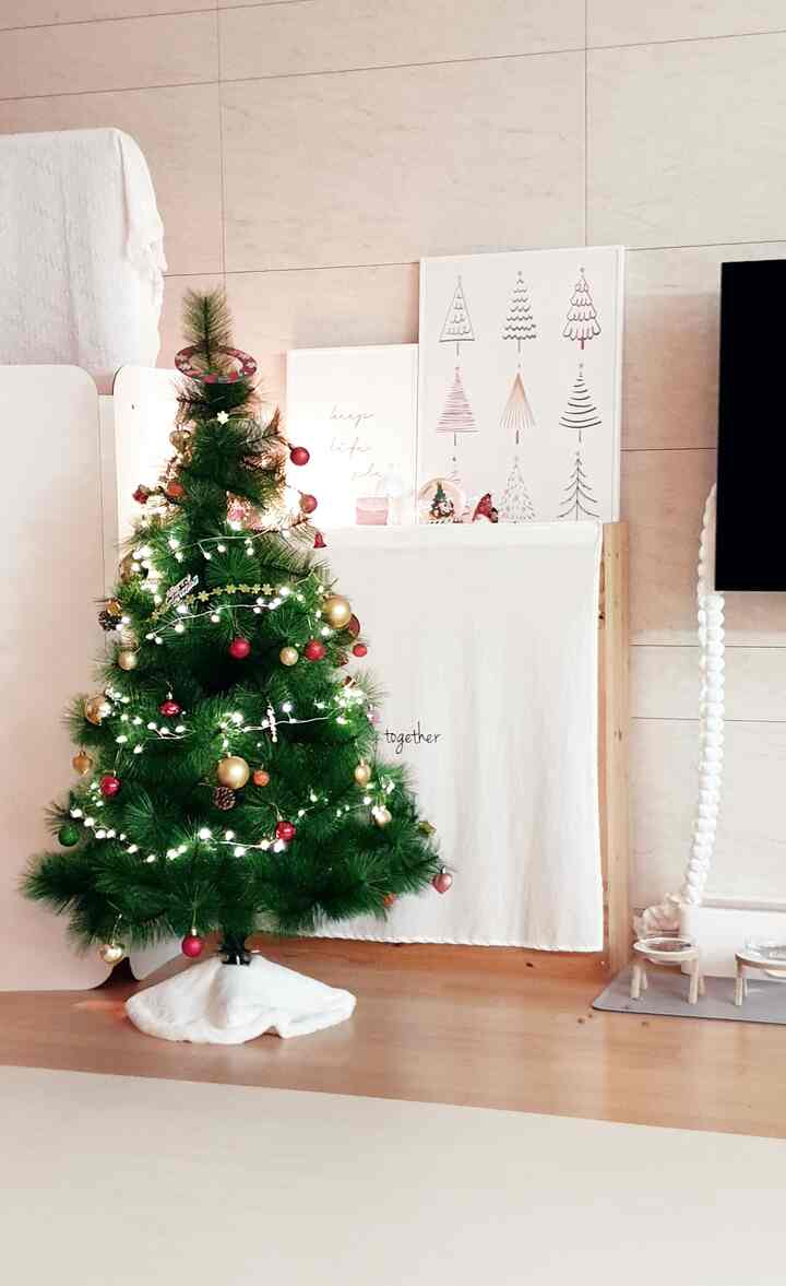 #今日からクリスマス #2日目記録 
♥リビングにクリスマスがやってきました〜♥

昔も上がったリビングルームのクリスマスツリーですよ〜

◈ハウセンス - クリスマスローエングリーン半自動ソルトリー◈

木の葉を一つ一つ挟むのではなく

半自動式で傘を広げるだけで構いません。

楽に設置しました。

色も明るいトーンの葉なので好きです〜

松葉もほとんど落ちなくていいですね 

＃クリスマス＃クリスマス小道具＃クリスマスデコ＃クリスマス装飾＃クリスマスインテリア＃ツリー＃ツリー飾り＃ツリー装飾＃クリスマス準備＃トリオナメント＃ツリー照明＃冬＃冬の私の家＃冬の準備＃冬の部屋＃メイド＃メイド＃マッサージ歓迎        