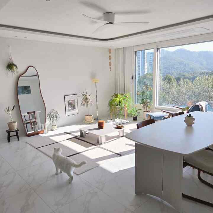 明るいホワイトトーンのリビングにダイニングテーブルと椅子、猫、植物が配された自然でモダンなインテリア