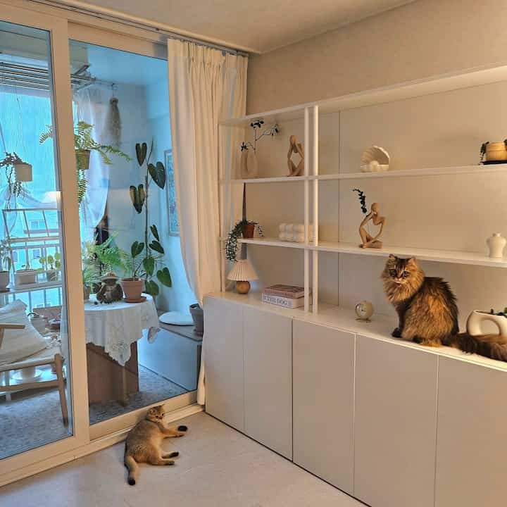 白を基調とした書斎、システム収納家具と多彩なオブジェ、猫が2匹いる落ち着いた空間