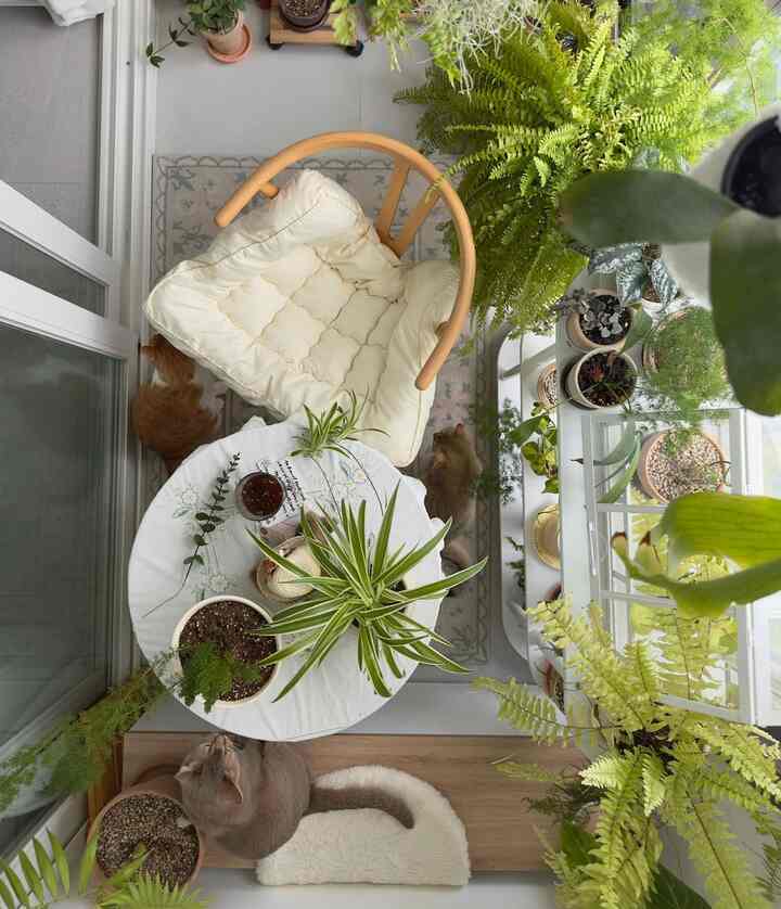 ナチュラルな雰囲気のベランダ、丸テーブルとクッションチェア、多様な植物が並ぶ落ち着いた空間