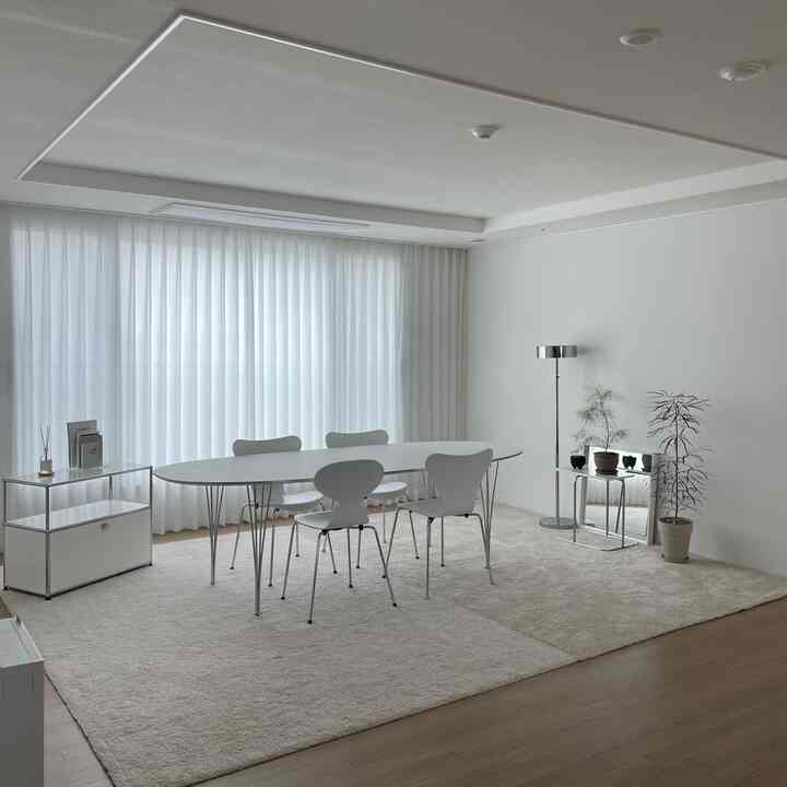 明るいホワイトとシルバーの色調のダイニングルーム、ミニマルな家具と植物が配置された雰囲気のあるインテリア