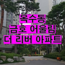 🏙️ 기본 단지 정보
· 정식 단지명: 옥수 어울림 더 리버 아파트 (어울림더리버) 
· 주소: 서울특별시 성동구 옥수동 560 / 독서당로40길 37
· 시행사: 옥수빙고지역주택조합 
· 시공사: 금호건설 
· 사용승인/입주: 2011년 12월 30일 (16년차) 
· 동수/세대수: 6개동, 총 297세대 
· 구조/난방: 철근콘크리트, 계단식 복도, 개별난방(도시가스) 
· 층수: 최고 약 20층 규모 
· 평형 구성:
 • 92㎡ (~28평)
 • 107~108㎡ (~32~33평)
 • 162㎡ (~49평)
 등 다양한 평형대 구성 
🚆 입지 및 교통
· 지하철
3호선 옥수역(옥수동역) 도보 접근 가능 거리 
경의중앙선도 근접해 교통 편의 높음 
· 버스
다수 버스 노선 이용 가능 (근거리 정류장 형태) 
🏞️ 주변 환경
· 상권·편의시설
옥수역 인근 상권 형성, 근거리 편의점·식당·카페 다수 
대중교통 접근성과 주거 편의성 높음 
· 교육시설
옥정초·옥정중 등 도보권 내 위치 
주변 학원가 및 초·중·고 학군 형성 
· 자연·공원
응봉공원, 한강 조망권 인접지역과 가까워 산책·레저 환경 우수 
