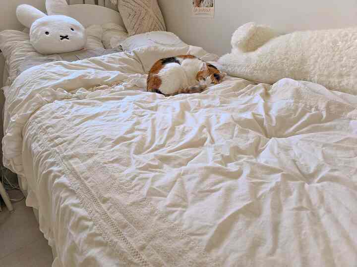 ホワイトトーンの寝室、ロココ風の寝具と枕が配置され、中央に猫がくつろぐ居心地の良い雰囲気のインテリア