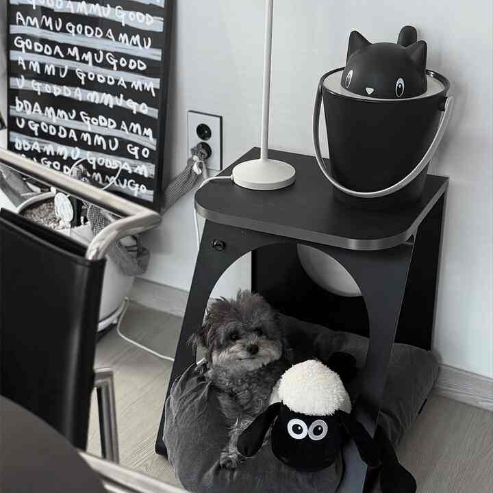A simple black and white toned space featuring a cat-shaped objet on a small table with a dog resting on a black cushion below