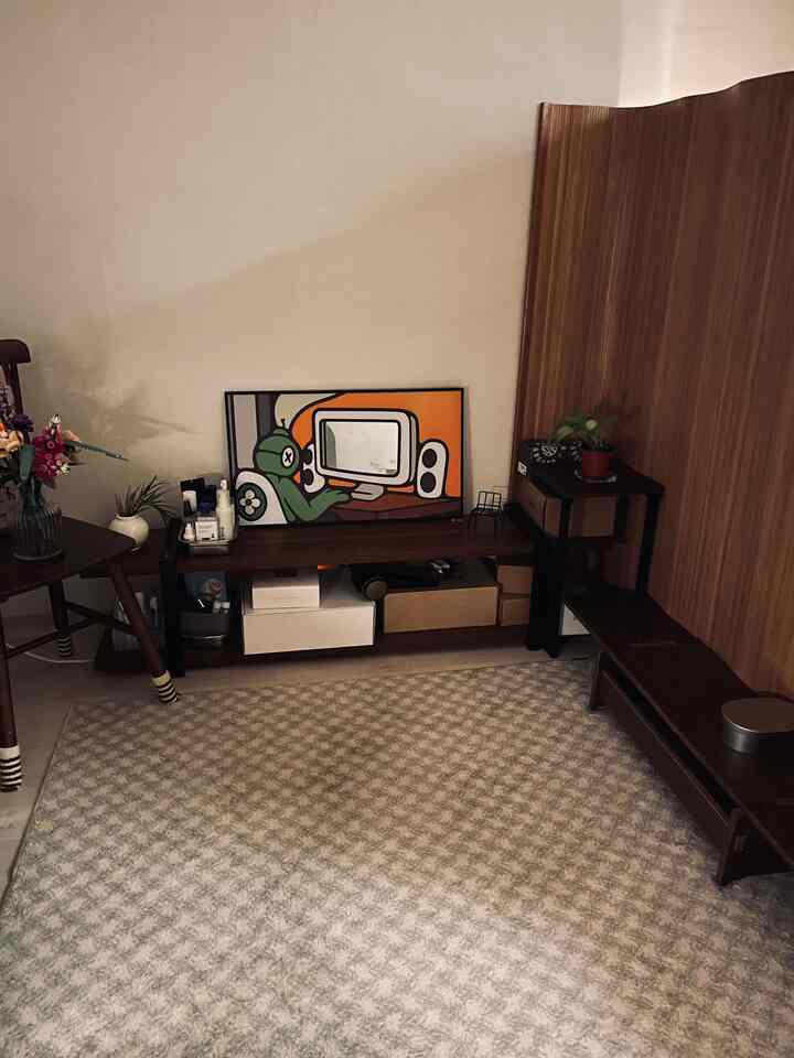 Living room with natural and dark brown tones, featuring a large carpet and framed art creating a cozy atmosphere
