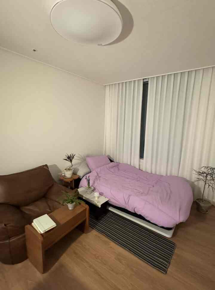 淡い紫の寝具とブラウンのビーズクッションがある落ち着いたモダンな寝室、多数の植物が配置された空間